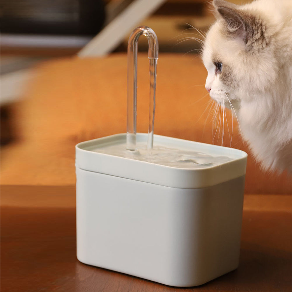 🏡 Fontanella Automatica per Gatti - Idratazione Continua e Sicura 🐱