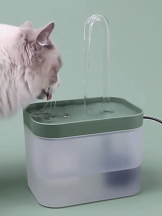 🏡 Fontanella Automatica per Gatti - Idratazione Continua e Sicura 🐱