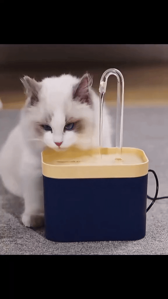 🏡 Fontanella Automatica per Gatti - Idratazione Continua e Sicura 🐱