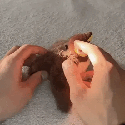 Uccellino realistico con suono e movimento per Gatti