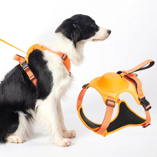 Pettorina 2 in 1 con guinzaglio retrattile per cani di taglia medio grande