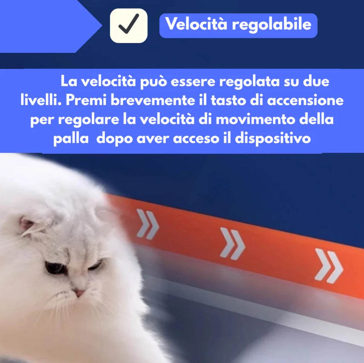 Nuova Palla Interattiva per Gatti&Cani