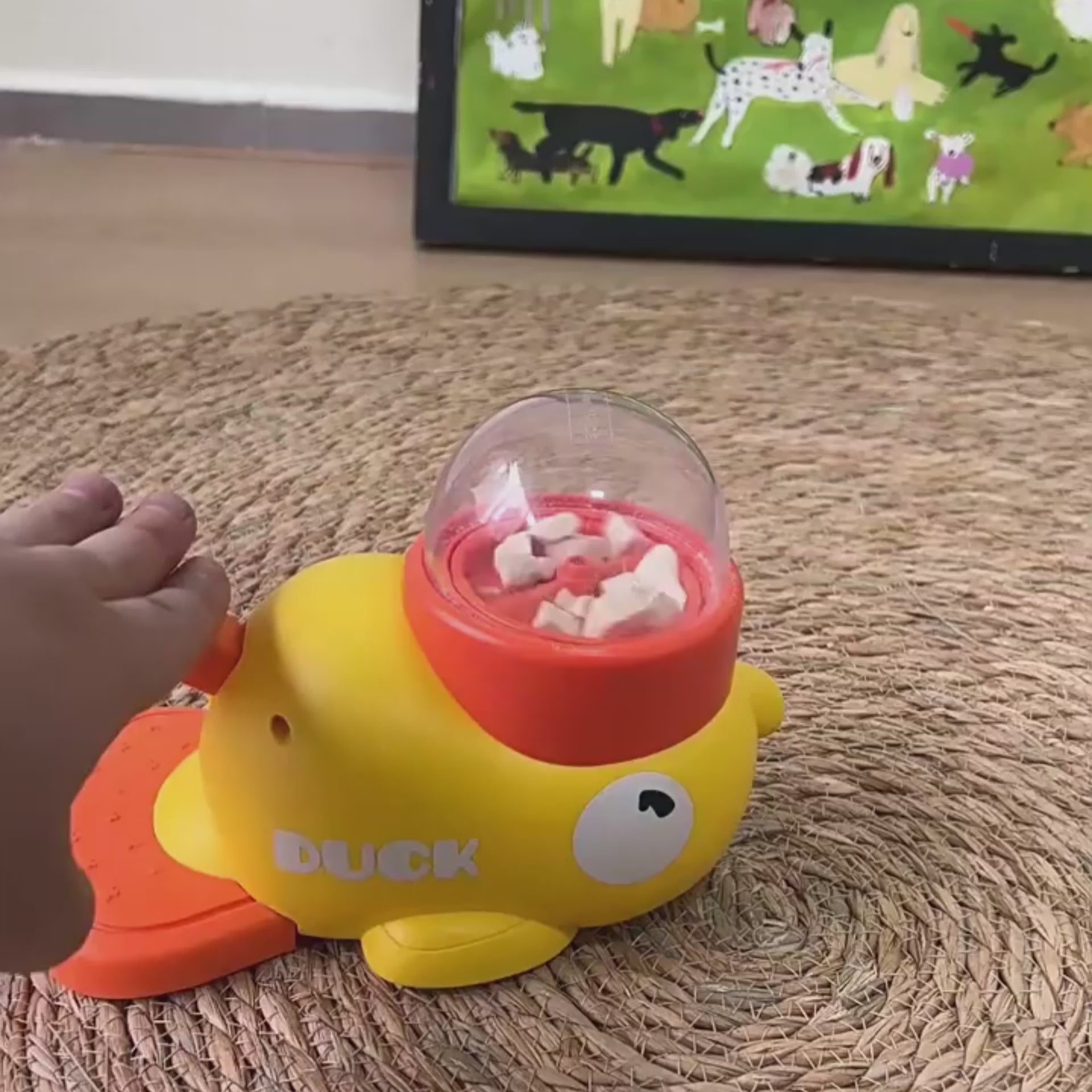 🦆 Mangia&Gioca™ – L’Anatra Dispenser Croccantini!