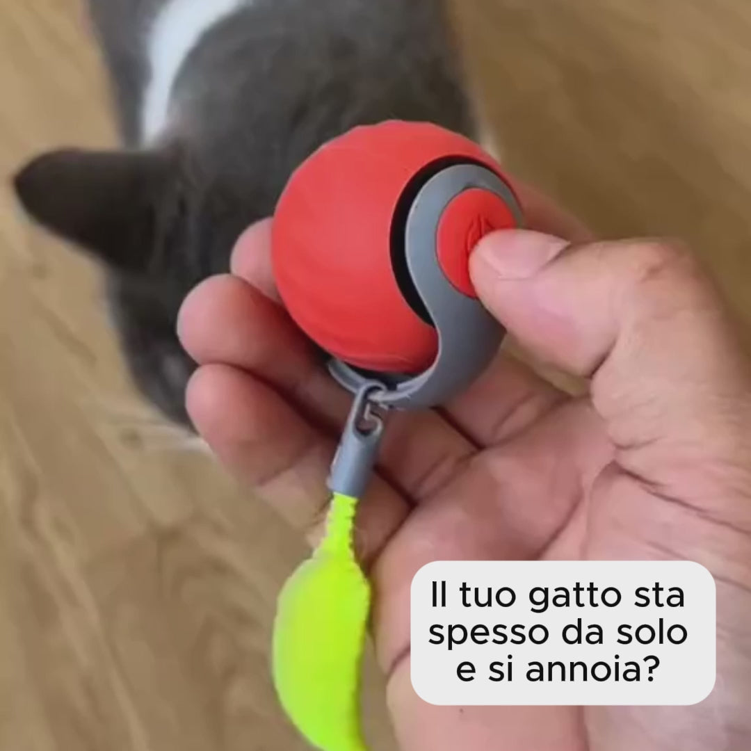 Nuova Palla Interattiva per Gatti&Cani